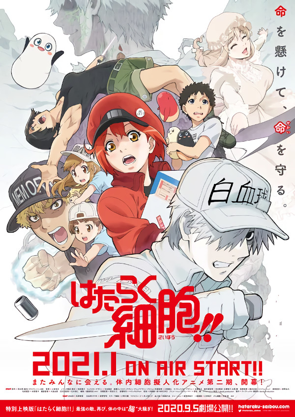 cells at work! cells at work!